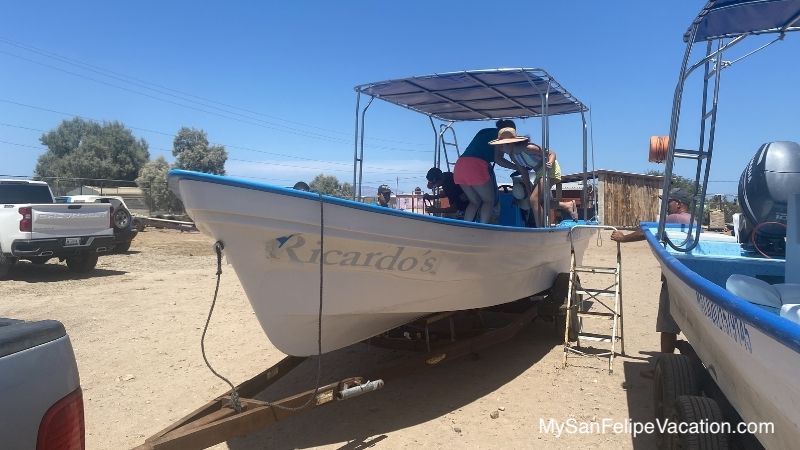 Barco de tiburón ballena Bahía de Los Ángeles