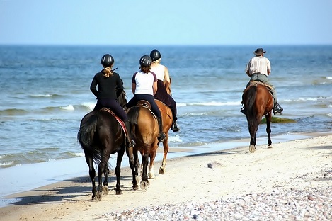 Cabalgatas en San Felipe