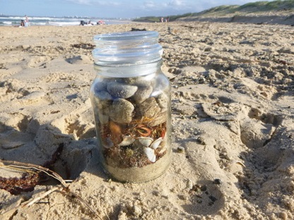 Creando un frasco de tesoros de playa en la playa de San Felipe