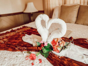 ragged-island-towel-animals-edited-300x225