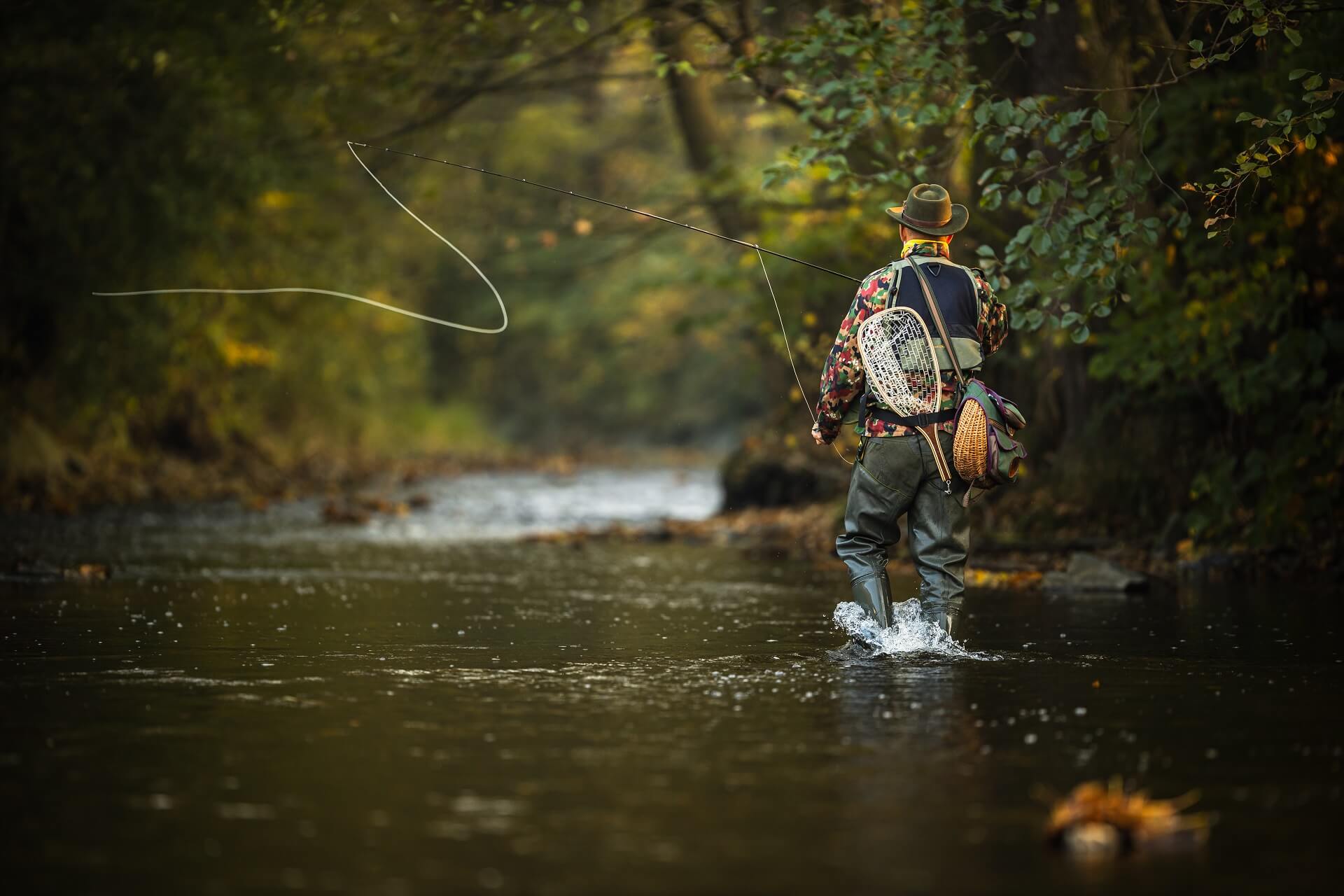 Fishing