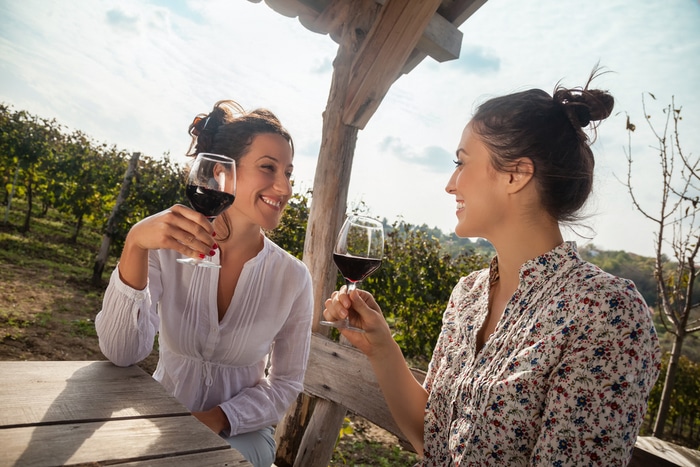 A Handy Guide to the Best North Georgia Vineyards