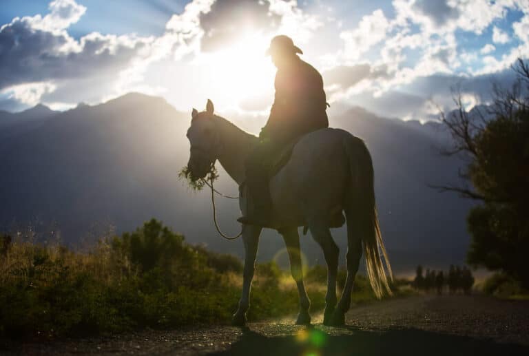 Horseback Riding near Blue Ridge, GA