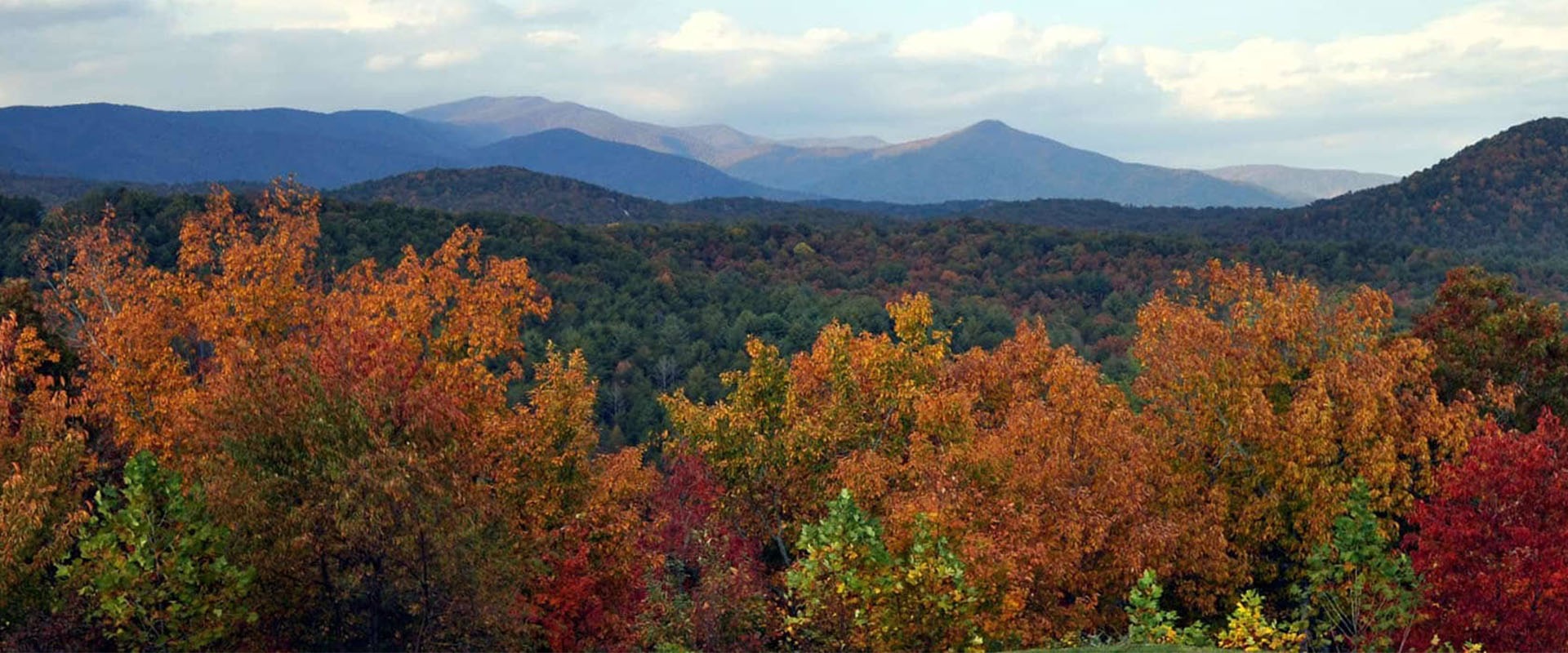 Mountain Resort Cabin Rentals: vacation rental in Ellijay, Blue Ridge