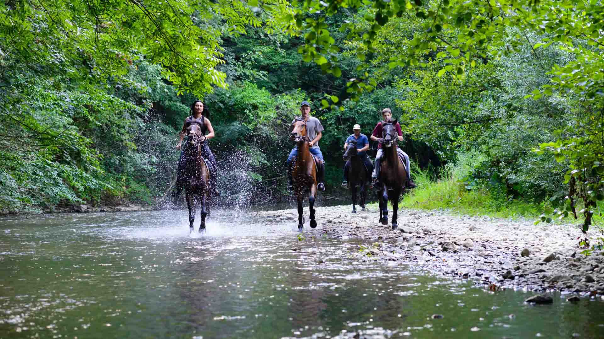 Ridge Riding Horseback Riding - Mountain Resort Cabin Rentals