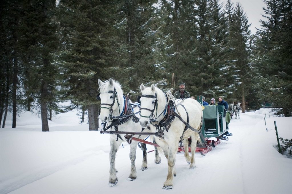 Lonemountainranchsleighride Lone Mountain Ranch Sleigh Ride Dinner