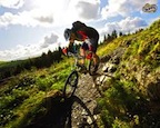 Mountain Biking or Bike Rentals