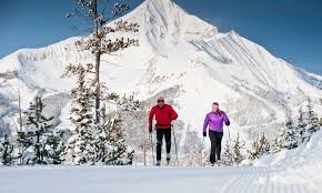 skateskiing Nordic Skiing
