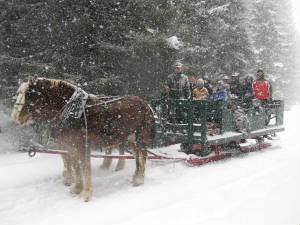 SleighRidelmr Sleigh Rides