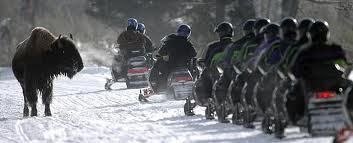 snowmobileyellowstone Snowmobile and Snowcoach Tours