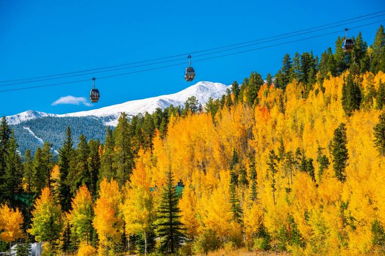 Top Things To Do In Breckenridge This Fall: Your Ultimate Autumn Guide