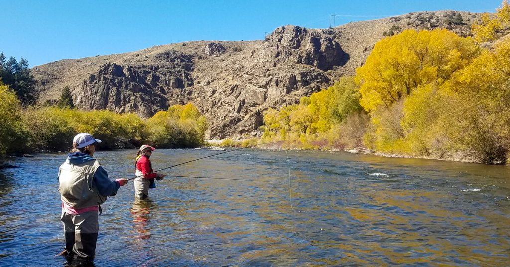 How to Choose the Best River for Fly Fishing in Colorado | Fly Fishing Colorado