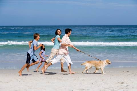 How to Plan a Pet-Friendly Vacation to Port Aransas