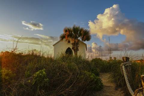 Discover Must-Try Things to Do in Port Aransas, Texas