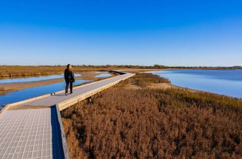 Weekend Vacations in Texas | 48 Hours in Port Aransas