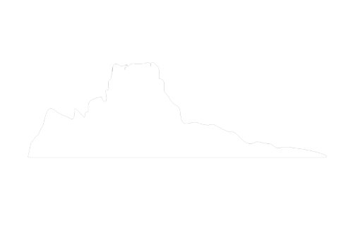 Logo white
