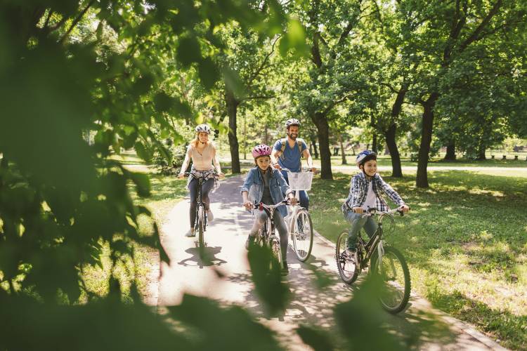 Anderson’s Bicycle Rental