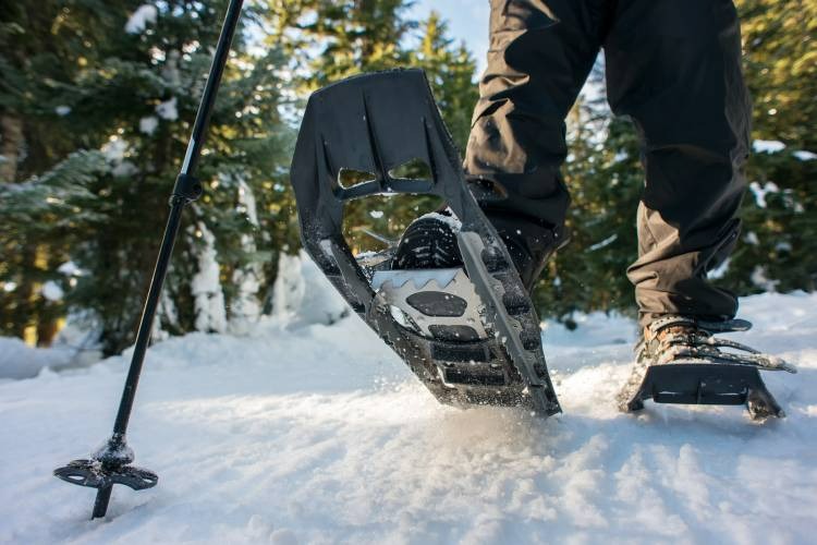 Snowshoeing in South Lake Tahoe