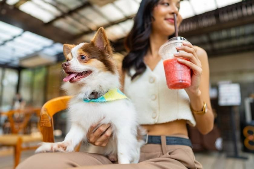 woman with dog in her lap at a restaurant
