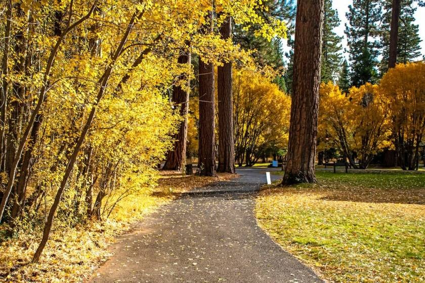 south lake tahoe fall foliage