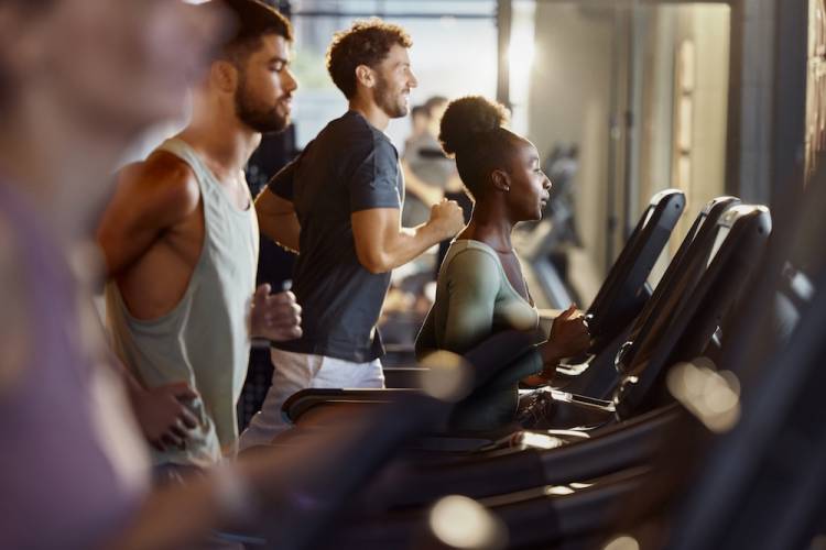Inversion Gym