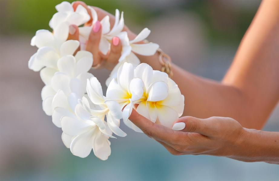 Complimentary Concierge Services