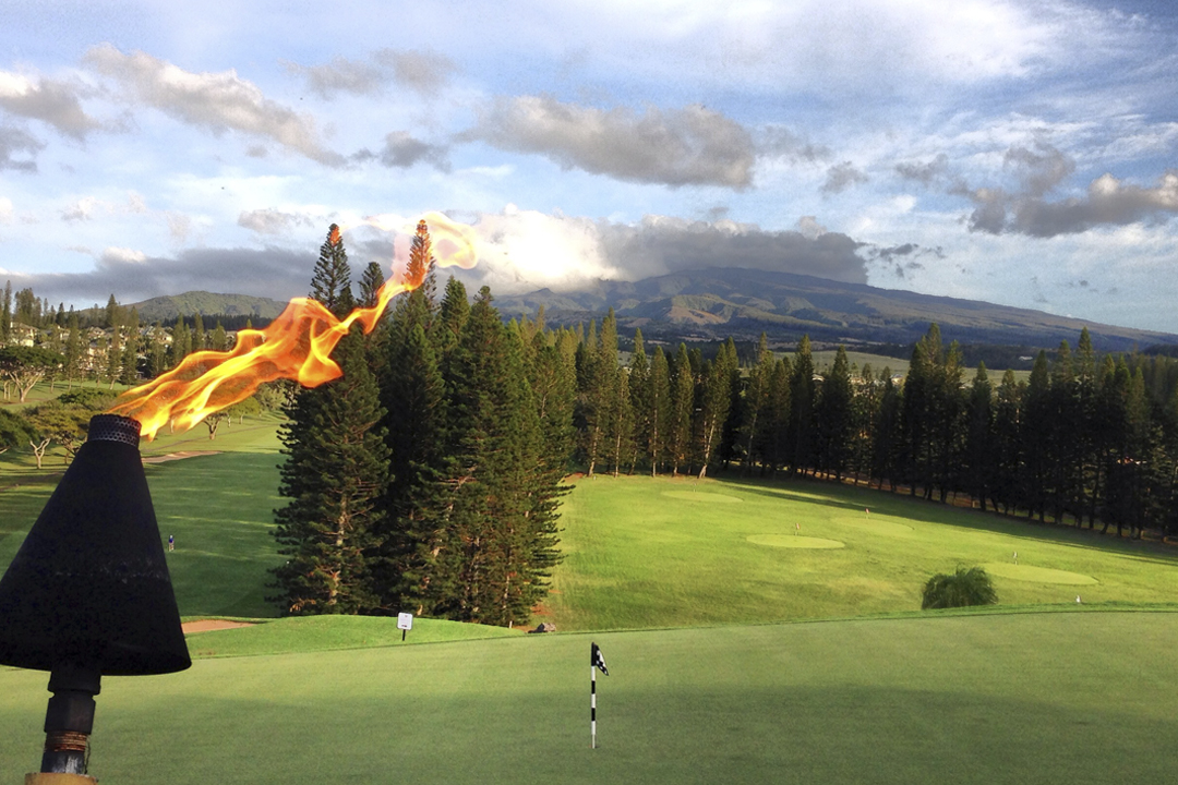 Golf, Tennis and Pickleball