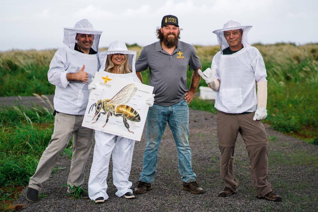 Maui Gold Bee Tour