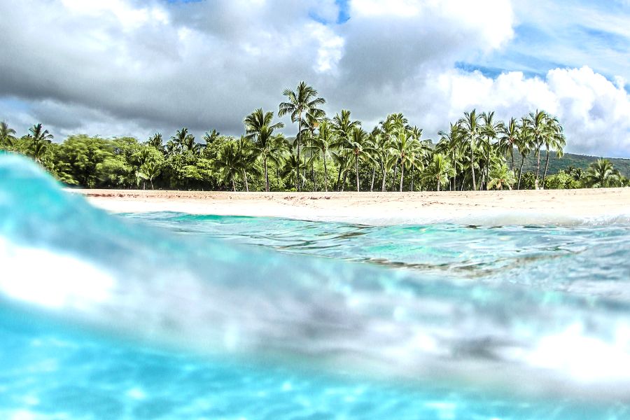 Day Trip to the Island of Lanai