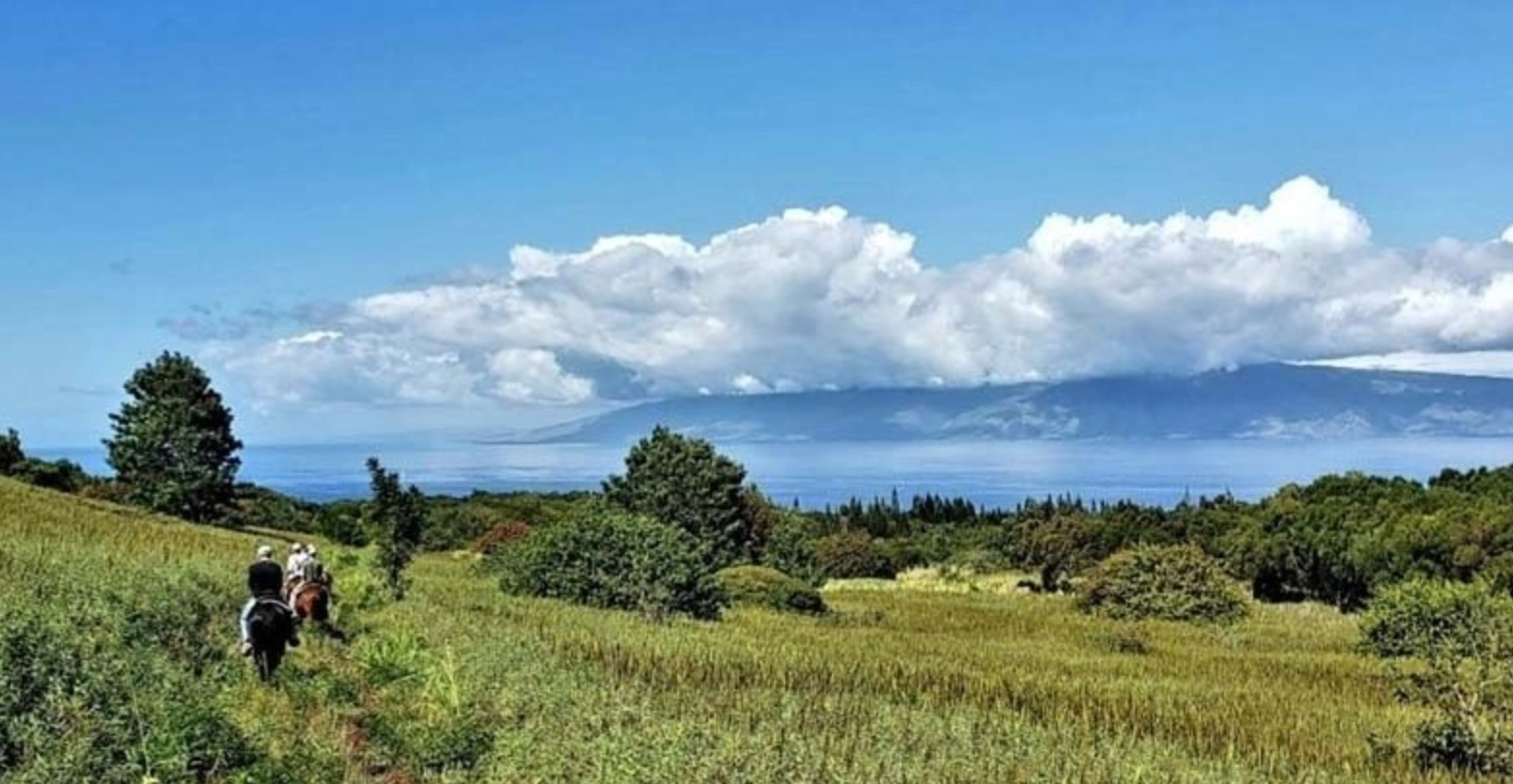 Horseback Adventure
