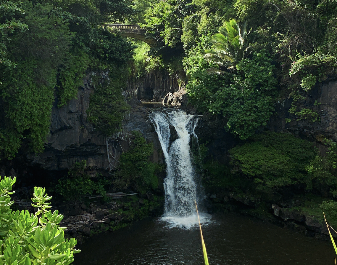 Hike Maui Waterfall and Rainforest Tour