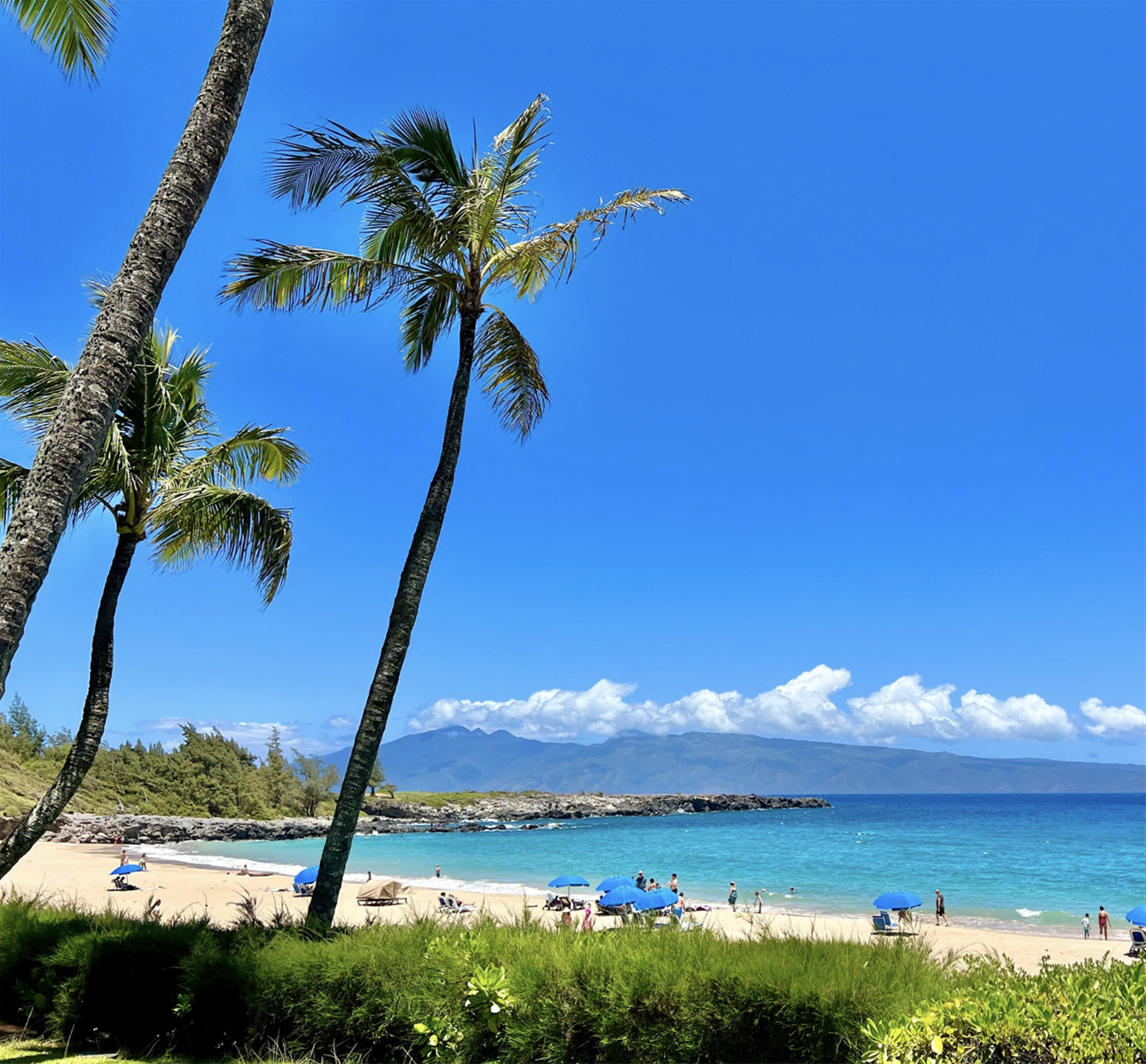 Top 10 Ocean View Restaurants on Maui