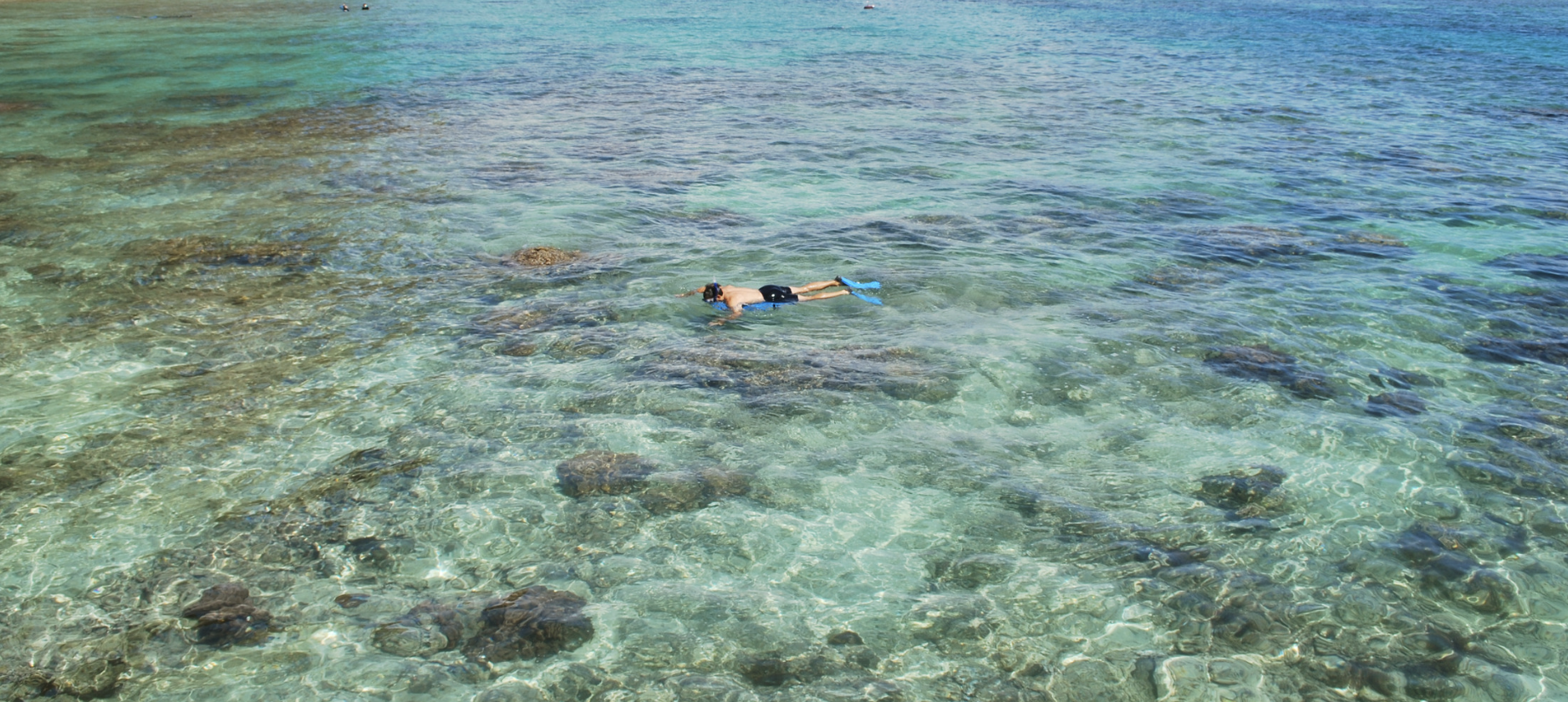 Coral Gardens