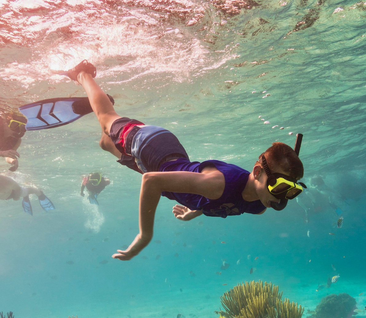 Snorkel, Scuba and Beach Activity Rentals