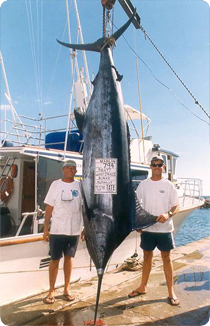 Lucky Strike Charters Sport Fishing