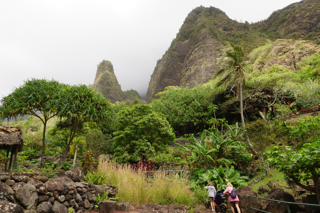 Iao Valley State Monument
