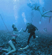 Maui Diving Scuba Center