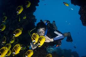 Lahaina Divers