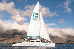 Pacific Whale Foundation