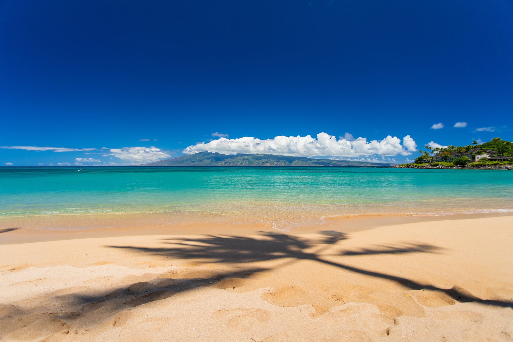 Empty-Beach Stillness