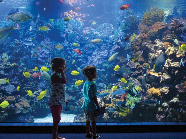 Maui Ocean Center