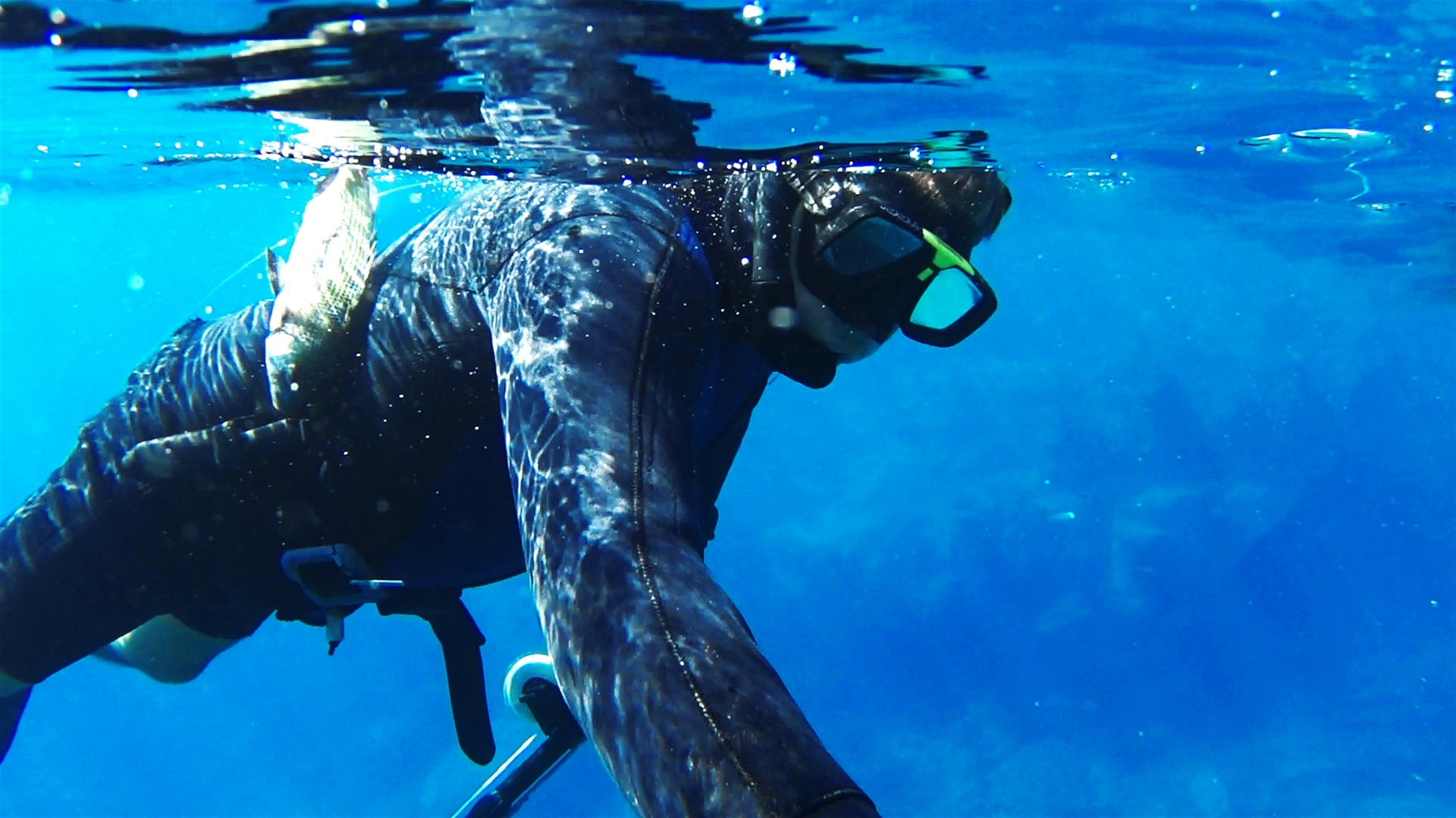 Spearfishing