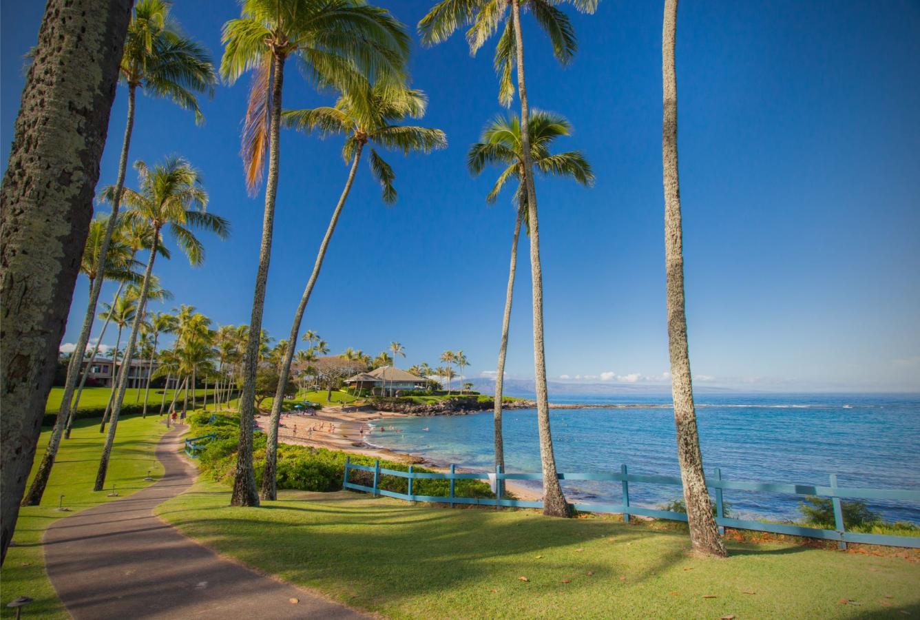 Kapalua Resort Beaches