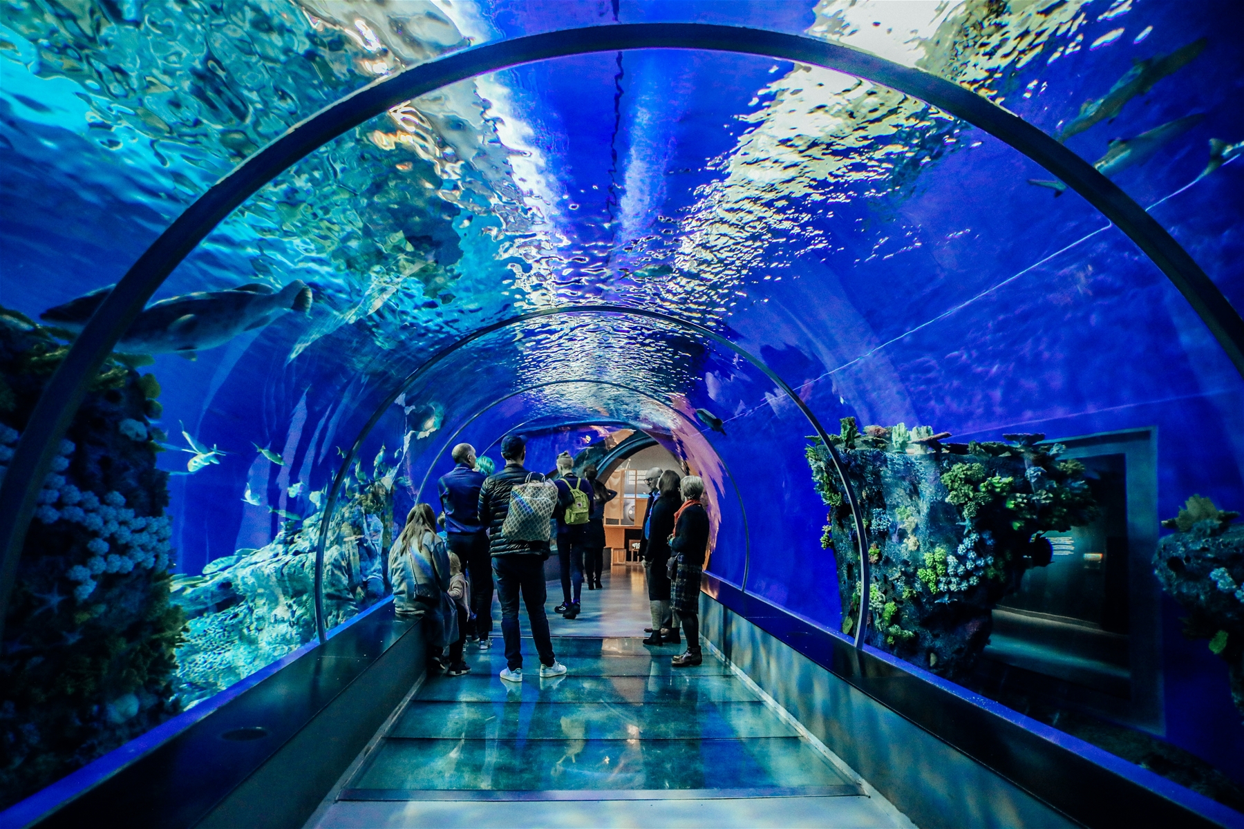 Maui Ocean Center