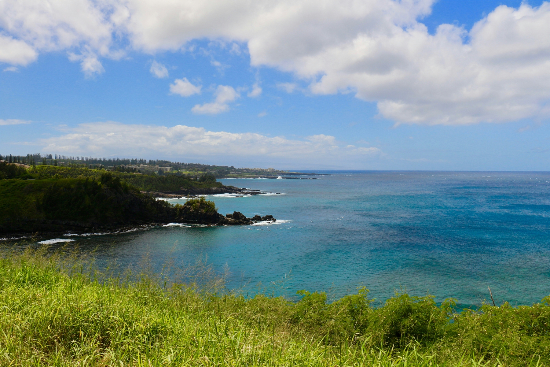 Honolua Bay Scenic Lookout (North of Kapalua)