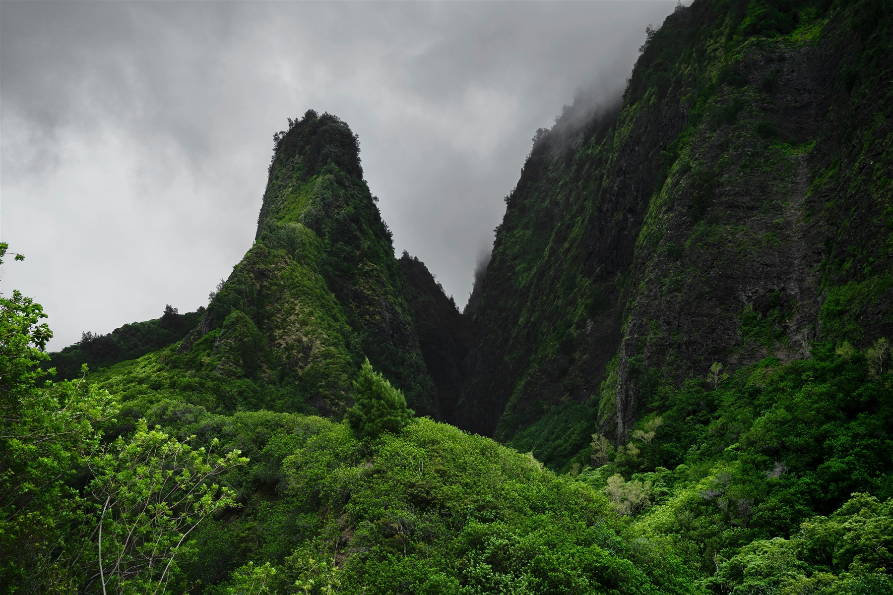 Iao Valley Lookout (Wailuku)