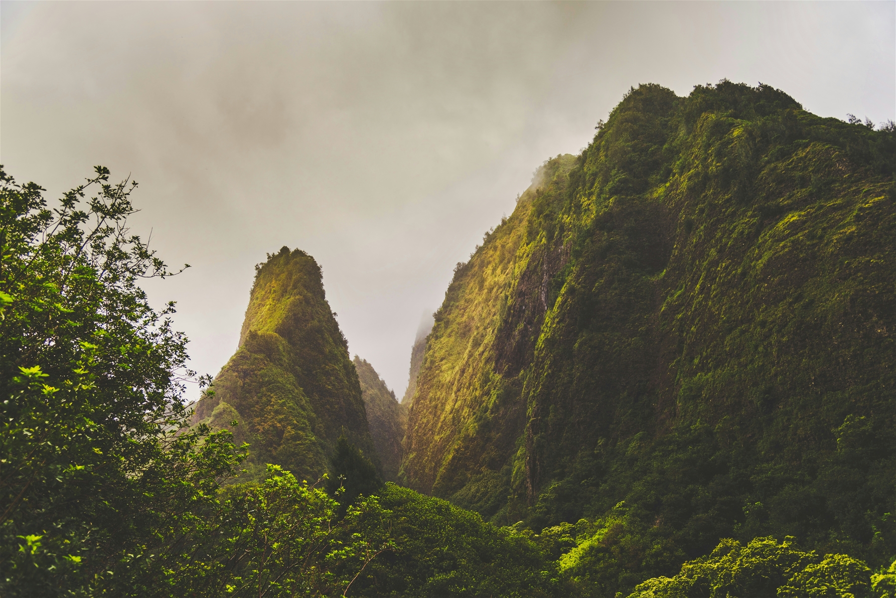 Iao Valley State Monument