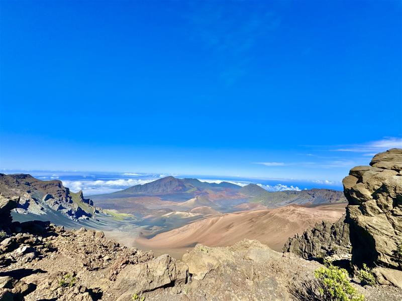 Top 10 Animal Activities on Maui
