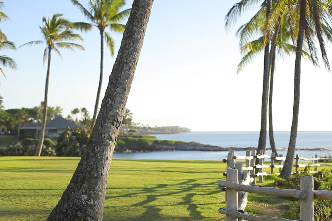 The Point at Kapalua Bay