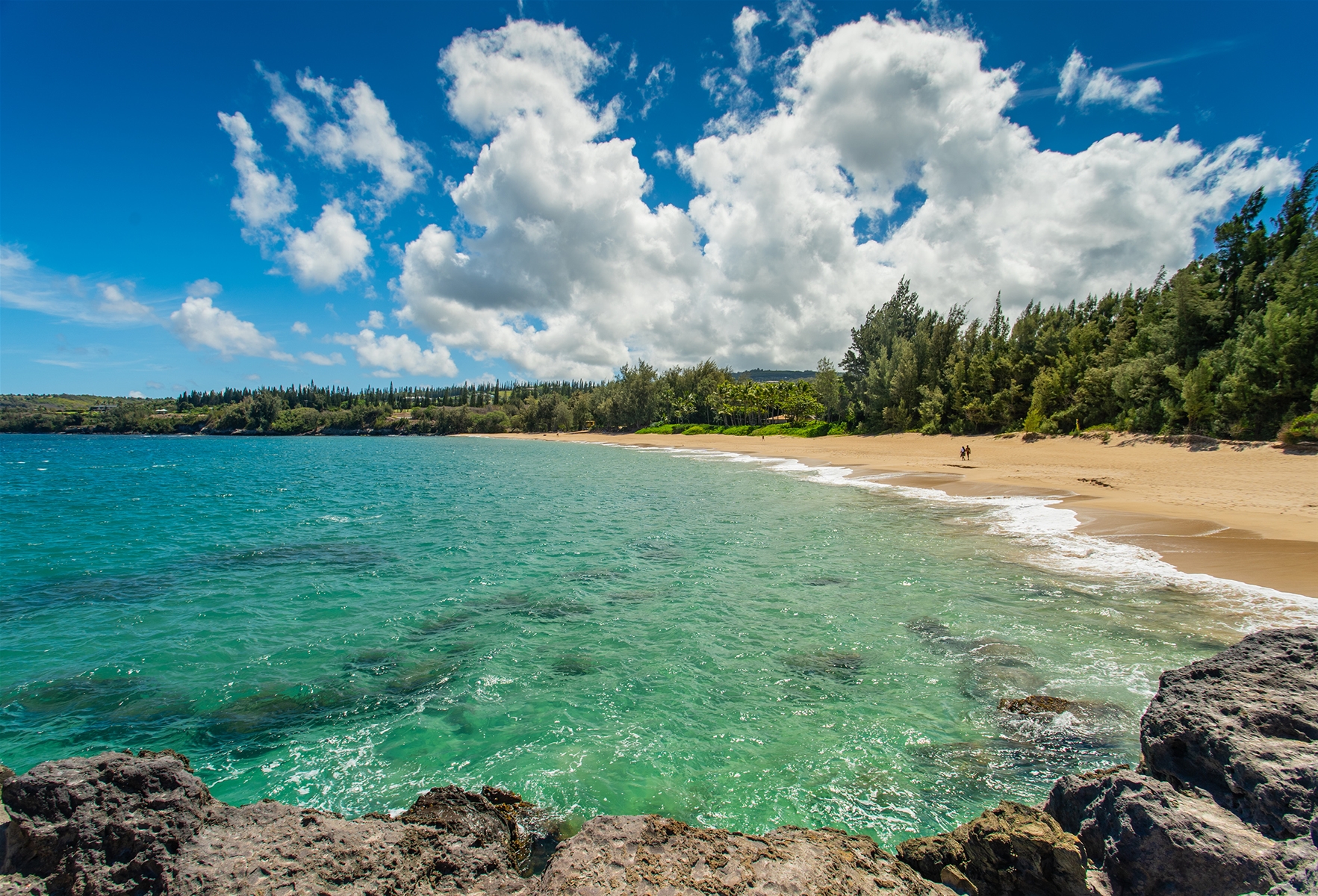 D.T. Fleming Beach